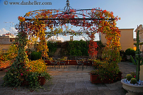 flower-laden-gazeebo-2.jpg