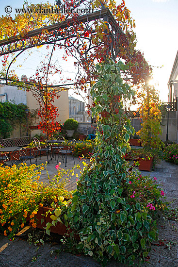 flower-laden-gazeebo-3.jpg