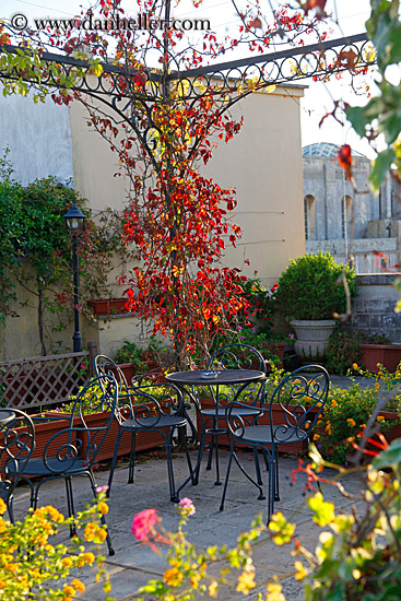 flower-laden-gazeebo-4.jpg