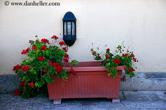 flowerbox-n-lamp.jpg