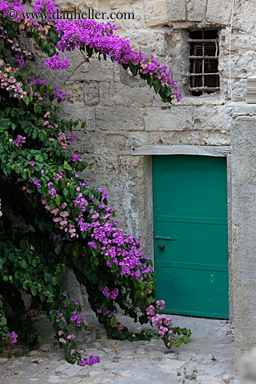 purple-bougainvillea-n-door-2.jpg