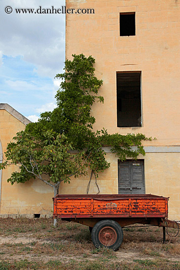 tree-on-wall-1.jpg