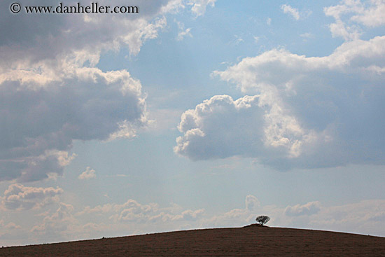 tree-hill-clouds-2.jpg