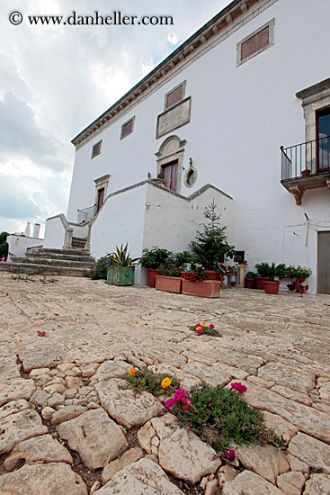 main-house-n-flowers.jpg