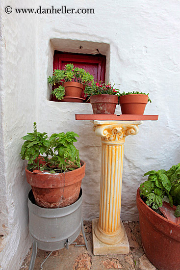 flowers-in-pots-1.jpg