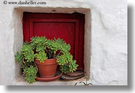 images/Europe/Italy/Puglia/Noci/MasseriaMurgiaAlbanese/Plants/flowers-in-pots-2.jpg