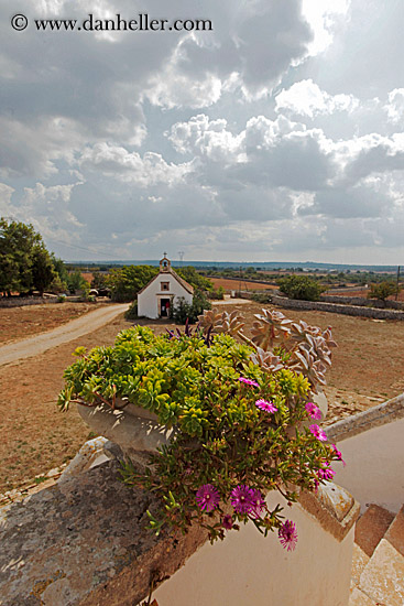 plants-clouds-n-church.jpg