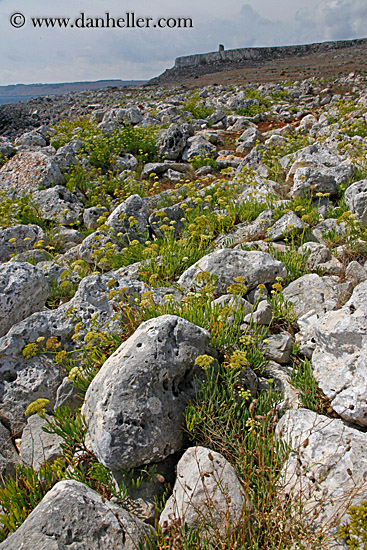 rocks-weeds-n-tower-2.jpg