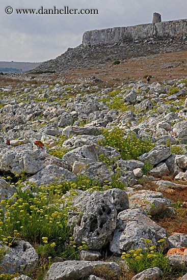 rocks-weeds-n-tower-4.jpg