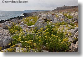 images/Europe/Italy/Puglia/Otranto/SantoEmilian/rocks-weeds-n-tower-6.jpg