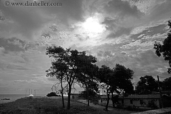 tree-n-clouds-sil-bw.jpg