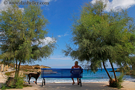 man-on-blue-bench-n-dog-1.jpg