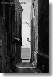 images/Europe/Italy/Puglia/Taranto/Town/narrow-alley-n-street_lamps-bw.jpg