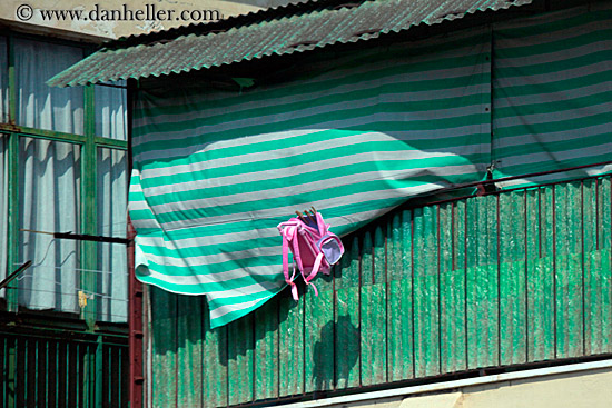 pink-backpack-n-green-house.jpg