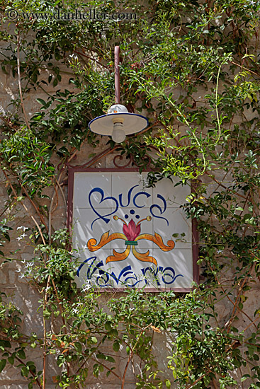 sign-ivy-n-light.jpg