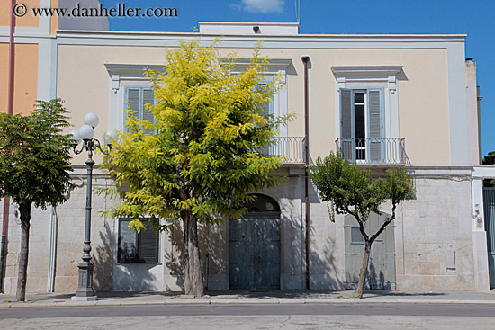 green-tree-white-bldg-1.jpg