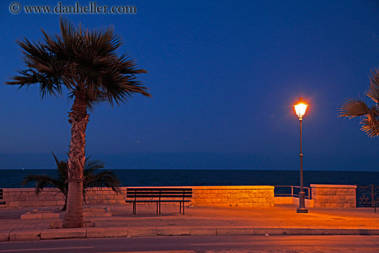 palm-tree-sunset-bench-n-seawall-1.jpg