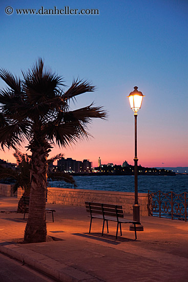 palm-tree-sunset-bench-n-seawall-2.jpg