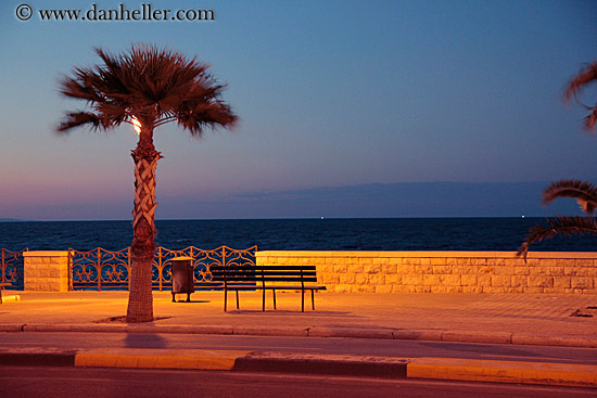 palm-tree-sunset-bench-n-seawall-3.jpg