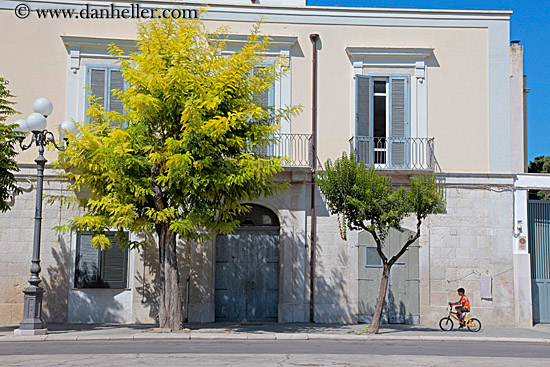 green-tree-white-bldg-w-boys-on-bikes-2.jpg