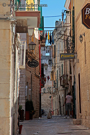 man-walking-dog-on-narrow-street.jpg