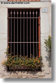 images/Europe/Italy/Puglia/Trani/Windows/flowers-in-iron-gate-window.jpg