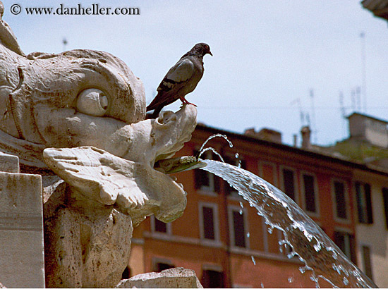 fish-fountain-bird.jpg