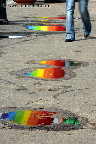 rainbow-puddle-reflections-n-walker.jpg