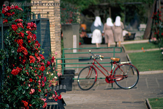 roses-n-bicycle-n-nuns.jpg