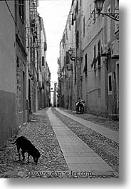 images/Europe/Italy/Sardinia/Alghero/Streets/street-pooch-bw.jpg