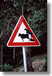 images/Europe/Italy/Sardinia/Scenics/cow-crossing-sign.jpg