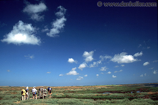 stagno-di-cabras-0005.jpg