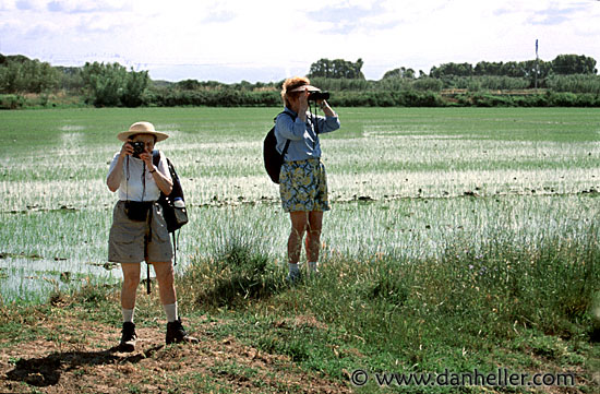 stagno-di-cabras-0006.jpg