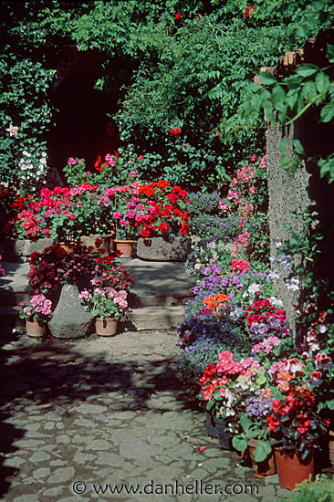 flowery-porch.jpg