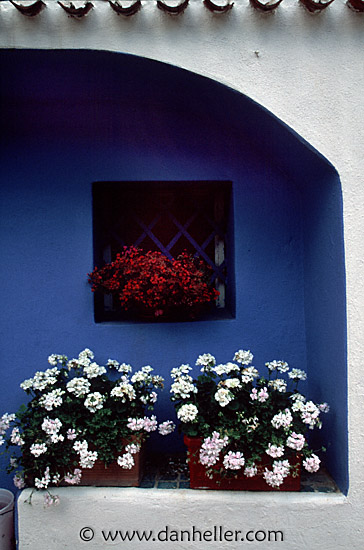 flowery-window.jpg