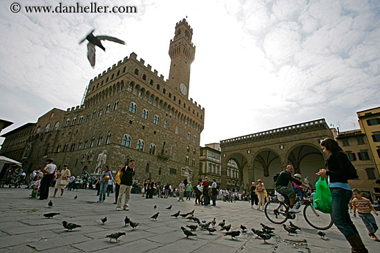 palazzio-vecchio-n-birds.jpg