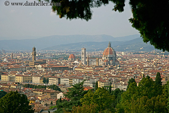 florence-cityscape-w-trees.jpg