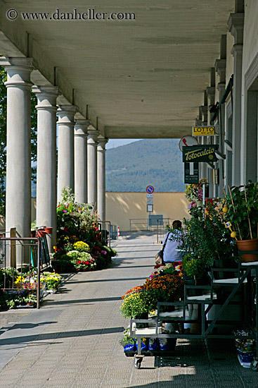 flowery-covered-walk.jpg