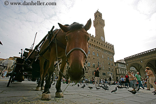 horse-on-uffizi-sq-1.jpg