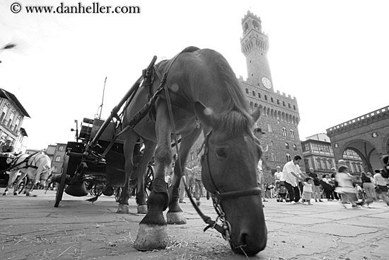 horse-on-uffizi-sq-3.jpg