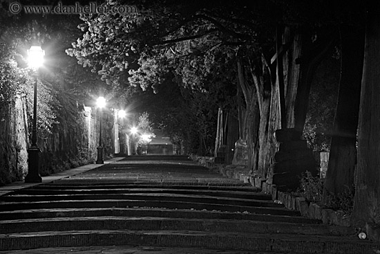 lamp_post-n-trees-1-bw.jpg