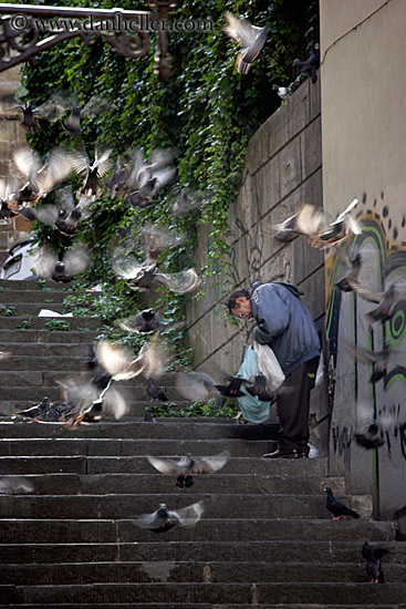 homeless-man-w-pigeons.jpg