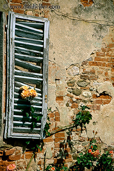 rose-n-window-shutters-2.jpg