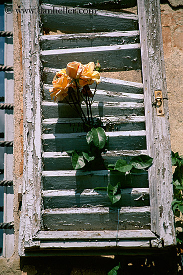 rose-n-window-shutters-3.jpg