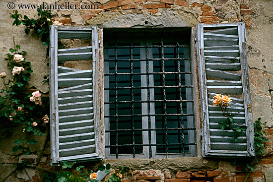 rose-n-window-shutters-4.jpg