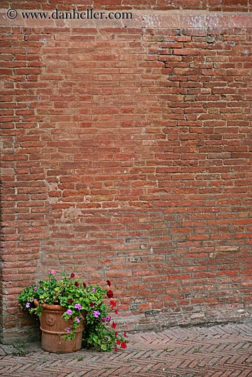 flowers-n-bricks.jpg