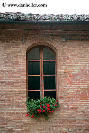 window-w-flowers.jpg