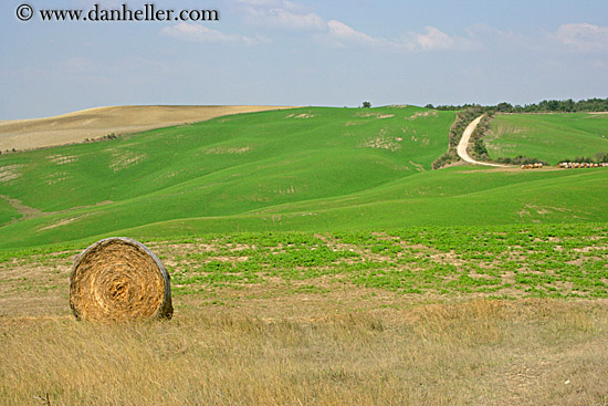 hay_bales-n-scenery-3.jpg