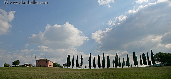 house-n-tuscan-cyprus-trees-2.jpg