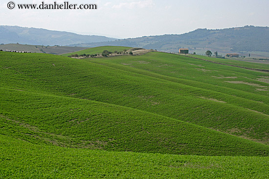 rolling-grassy-hills.jpg